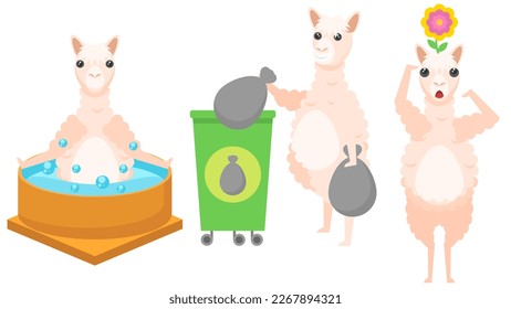 Set Abstract Collection Flat Cartoon Different Animal Lama Enjoying In The Jacuzzi, Throws Out The Trash, A Flower Grows From The Head Vector Design Style Elements Fauna Wildlife