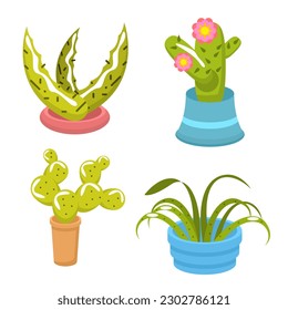 Set Abstract Collection Flat Cartoon  Different Color Cactus In Pots Indoor Garden Houseplants Flora Concept Vector Design Style Elements With Shadows