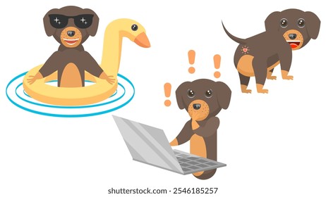 Conjunto De Colección Abstractas Dibujos Animados Planos Diferentes Animales Dachshunds Perros Se Para Con La Espalda, Trabaja En Una Computadora Portátil, Nada Con Un Pato Vector Diseño Estilo Elementos Fauna Vida Silvestre