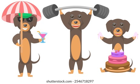 Set abstrakte Sammlung Wohnung Cartoon verschiedene Tier Dachshunds Hunde ruhen mit einem Schirm und mit einem Cocktail, Esskuchen, Sport mit einem Barbell Vektor Design Elemente Fauna Tierwelt