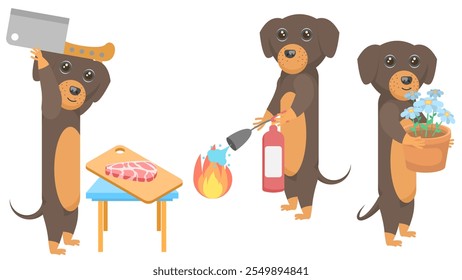 Set Abstract Collection Flat Cartoon Different Animal Dachshunds Dogs Chopping Meat,Putting Out A Fire With A Fire Extinguisher, Carries A Pot Of Flowers Vector Design Style Elements Fauna Wildlife