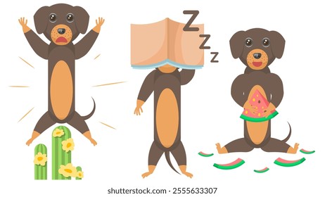 Set Abstract Collection Flat Cartoon Different Animal Dachshunds Dogs Sat On A Catus And Screams, Eats Watermelon, Sleeps With A Book On His Face Vector Design Style Elements Fauna Wildlife