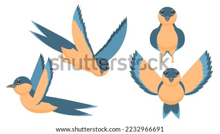 Set Abstract Collection Flat Cartoon Different Animal Birds Martin Swallows Stand, Flying With Spread Wings Vector Design Style Elements Fauna Wildlife