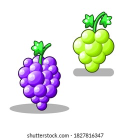 Set Abstract Collection Food Grapes Berry Meal Background Vector Design Style