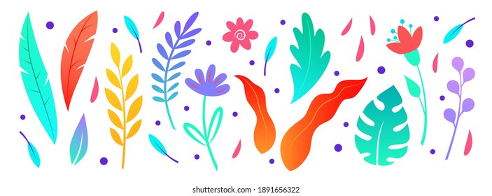 Set of abstract colorful leaves on white background. Vector elements for your design. Botanical illustration.