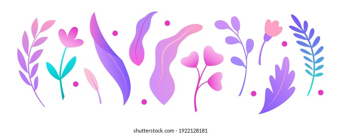 Set of abstract colorful leaves on white background. Vector elements for your design. Botanical illustration.
