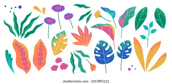 Set of abstract colorful leaves. Vector isolated elements on a white background. Tropical flat design with particle texture. Botanical illustration.