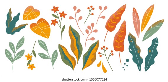 Set of abstract colorful leaves. Vector isolated elements on a white background. Tropical flat design with particle texture. Botanical illustration.