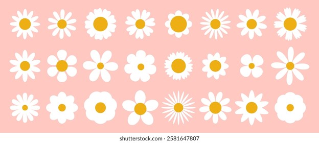 Set of abstract Daisy flowers. Chamomile flat icon, cartoon white spring flowers. Geometric flower set. Abstract minimal daisy elements.  Botanical summer elements, natural bloom petal. Floral design 