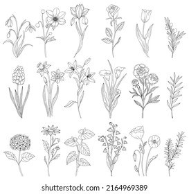 Set abstract elegant line art flower and leaf. Continuous boho line art silhouette of floral artwork. Outline Modern Design concept.