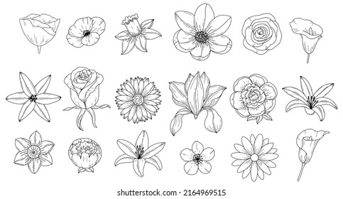 Set abstract elegant line art flower and leaf. Continuous boho line art silhouette of floral artwork. Outline Modern Design concept.