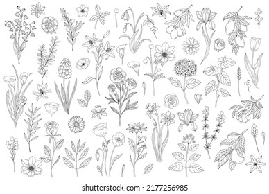 Set abstract elegant line art flower and leaf. Continuous boho line art silhouette of floral artwork. Outline Modern Design concept.