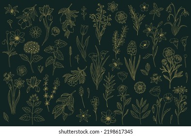 Setzen Sie abstrakte elegante Linien Kunstblume und Blatt. Kontinuierliche boho Linie Kunst Silhouette der Blumenkunst. Umriss Modernes Design-Konzept.