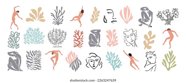 Set of abstract elements in Matisse inspired style