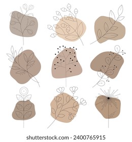 Set of abstract elements. Scheme
flowers, leaves and berries. aesthetic contour. Vector illustration