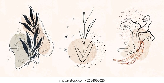 a set of abstract elements: a tropical flower, a leaf, a figure. hand-drawn organic line, dot. isolated banner inside. minimalism, boho art style. for paper, print, postcard. vector illustration