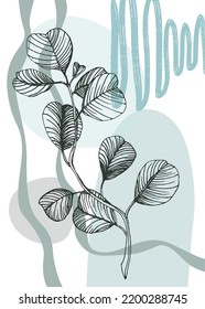 Conjunto de ilustraciones abstractas de Eucalyptus Pintadas para la Decoración de Paredes, flor minimalista en forma de boceto. Postcard, Banner de medios sociales, Fondo de diseño de portada de folletos. Pintura Resumen Moderna.