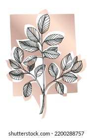 Set of Abstract Eucalyptus Hand Painted Illustrations for Wall Decoration, minimalist flower in sketch style. Postcard, Social Media Banner, Brochure Cover Design Background. Modern Abstract Painting.