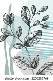 Set of Abstract Eucalyptus Hand Painted Illustrations for Wall Decoration, minimalist flower in sketch style. Postcard, Social Media Banner, Brochure Cover Design Background. Modern Abstract Painting.