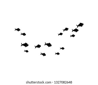 set of abstract fish background template vector illustration design