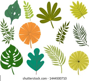 Set of abstract Flat Leaves of Tropical plants and Palms. For use in the design of media stories, card, background, frame, patterns, landscape. Vector illustration in trendy flat style.