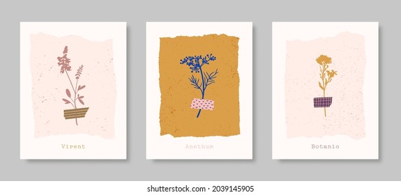 Set of Abstract Floral Backgrounds in Contemporary Minimalist Style. Vector Botanical Illustrations in Pastel Colors. Wild Flowers Glued to the Washi Tape for Postcard, Poster, T-shirt Print, Cover