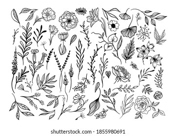 Set abstract flower floral isolated on white vector hand draw tropical leaves  background  for textile, cover, fabric, interior decor