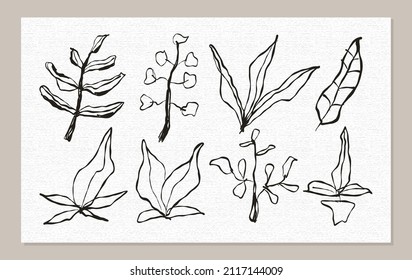 Set of abstract flower floral shape. hand drawn ink brush doodle decoration. vector drawing illustration