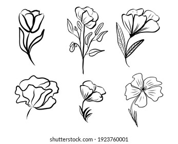 Conjunto de flor abstracta. Dibujo a mano con línea de arte. Dibujo negro de contorno, elemento botánico. Ilustración vectorial para tarjetas de felicitación e invitaciones, aíslar sobre fondo blanco.
