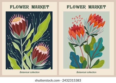 Set of abstract Flower Market Protea posters. 