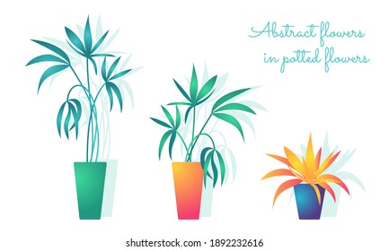 Set of abstract flowers in pots. Color illustration, vector, isolated on a white background.