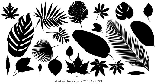 set of abstract foliage silhouette elements isolated on a white background.  collection of leaf silhouettes, banana leaves, tropical leaves, cassava leaves, papaya leaves and others.