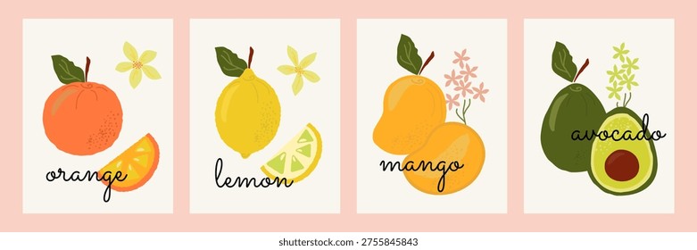 Set of abstract fruit posters. Orange, lemon, mango and avocado  decorative botanical design.