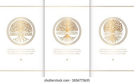 Set of abstract golden tree logos. Modern vector illustration. Isolated vector. Great for emblem, monogram, invitation, flyer, menu, brochure, background, or any desired idea.
