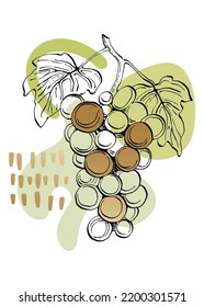 Set of Abstract grape Hand Painted Illustrations for Wall Decoration, minimalist shell in sketch style. Postcard, Social Media Banner, Brochure Cover Design Background. Modern Abstract Painting.