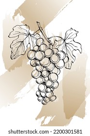 Set of Abstract grape Hand Painted Illustrations for Wall Decoration, minimalist shell in sketch style. Postcard, Social Media Banner, Brochure Cover Design Background. Modern Abstract Painting.
