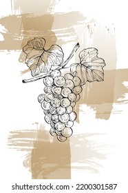 Set of Abstract grape Hand Painted Illustrations for Wall Decoration, minimalist shell in sketch style. Postcard, Social Media Banner, Brochure Cover Design Background. Modern Abstract Painting.
