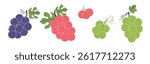 Set of abstract grapes. Simple grape. Organic fruit for juice, smoothie or healthy food. Fruit collection design for interior, poster, banner. Vector illustration on white background.