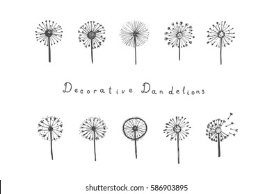 Set of abstract graphic doodle dandelions. Decorative Elements for design, dandelions