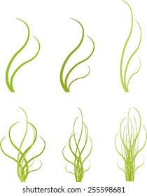 Set of abstract green grass