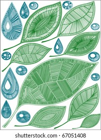 Set of abstract green leaf design vector
