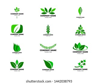 Set Abstract Green Leaf Logo Icon Stock Vector (Royalty Free) 1443699953