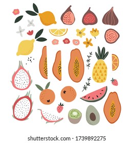 Set of abstract hand drawn shapes, flowers, tropical exotic fruit and abstract shapes. Modern artistic, minimalist design.  Decorative isolated vector illustrations. Papaya, figs, lemons, dragon fruit