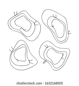 Set of abstract handmade stitched frames. Modern liquid geometric shapes, bubbles in wavy design. Sewing machine stitching with threads in reverse. Thread seams. Isolated on white. EPS 10