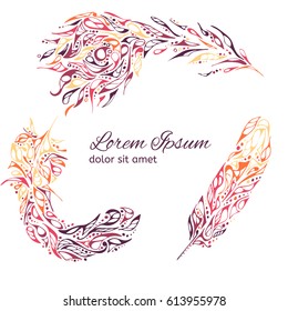 Set of abstract illustration of feather