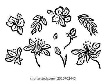 Conjunto de esboços de flores da selva de tinta abstrata isolados no branco. Silhuetas pretas de florais desenhados à mão. Pacote de ilustrações monocromáticas botânicas