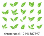 set of abstract isolated green leaves icons, environmental signs and label, plant branches, twigs tea and natural sprigs silhouettes on white background