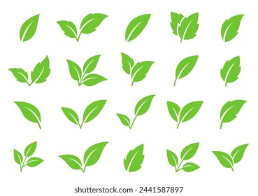 set of abstract isolated green leaves icons, environmental signs and label, plant branches, twigs tea and natural sprigs silhouettes on white background