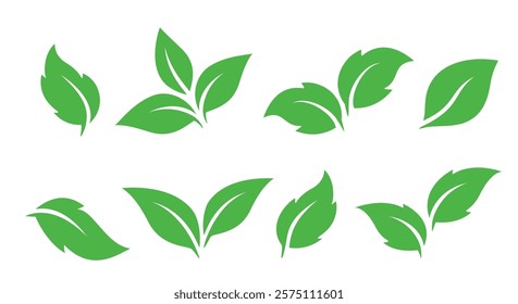 set of abstract isolated green leaves icons, environmental signs and label, plant branches, twigs tea and natural sprigs silhouettes on white background