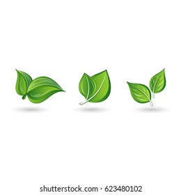 Set of abstract isolated green leaves. Element for design.